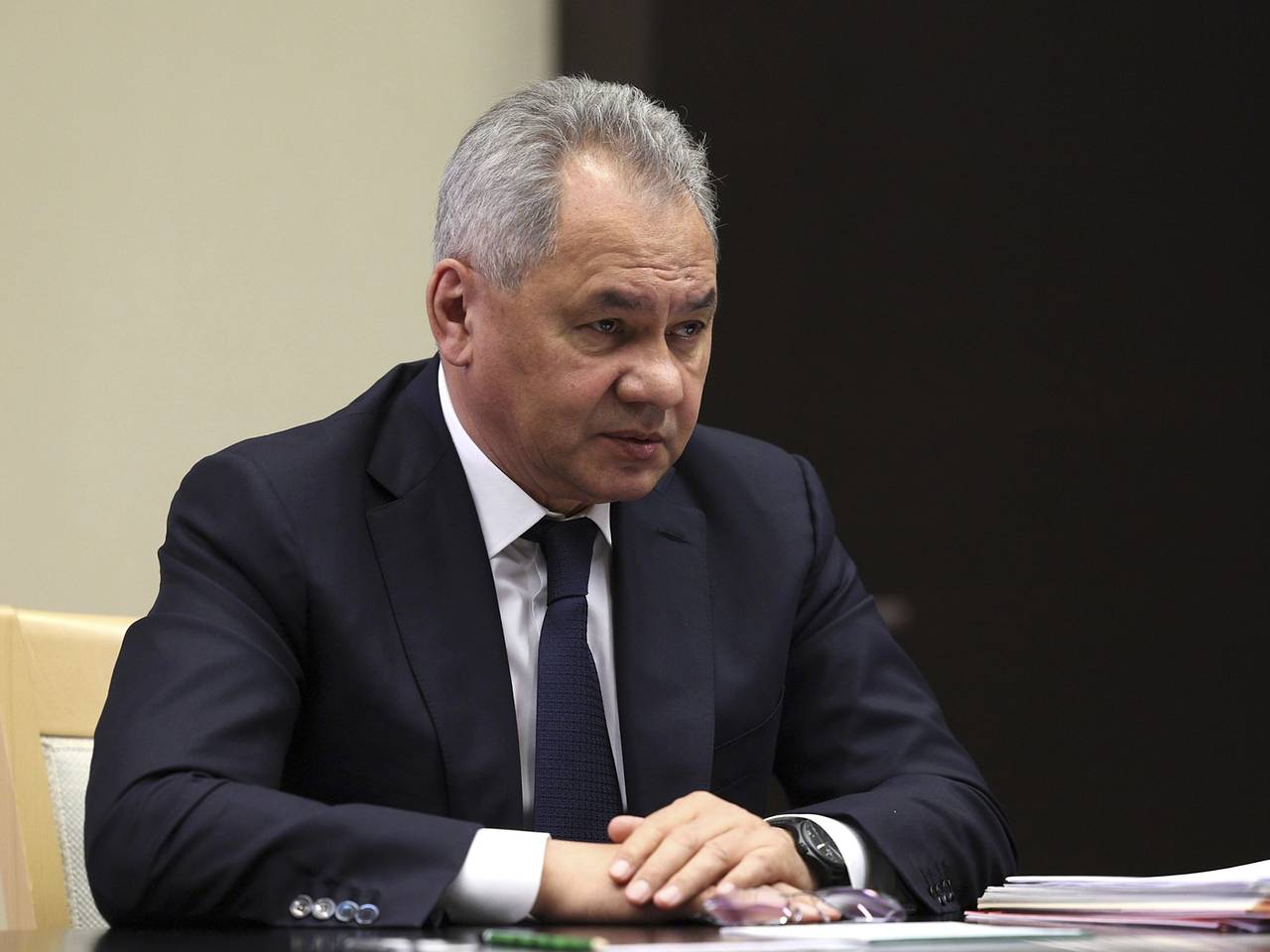 Шойгу прокомментировал выступление Зеленского в Ереване