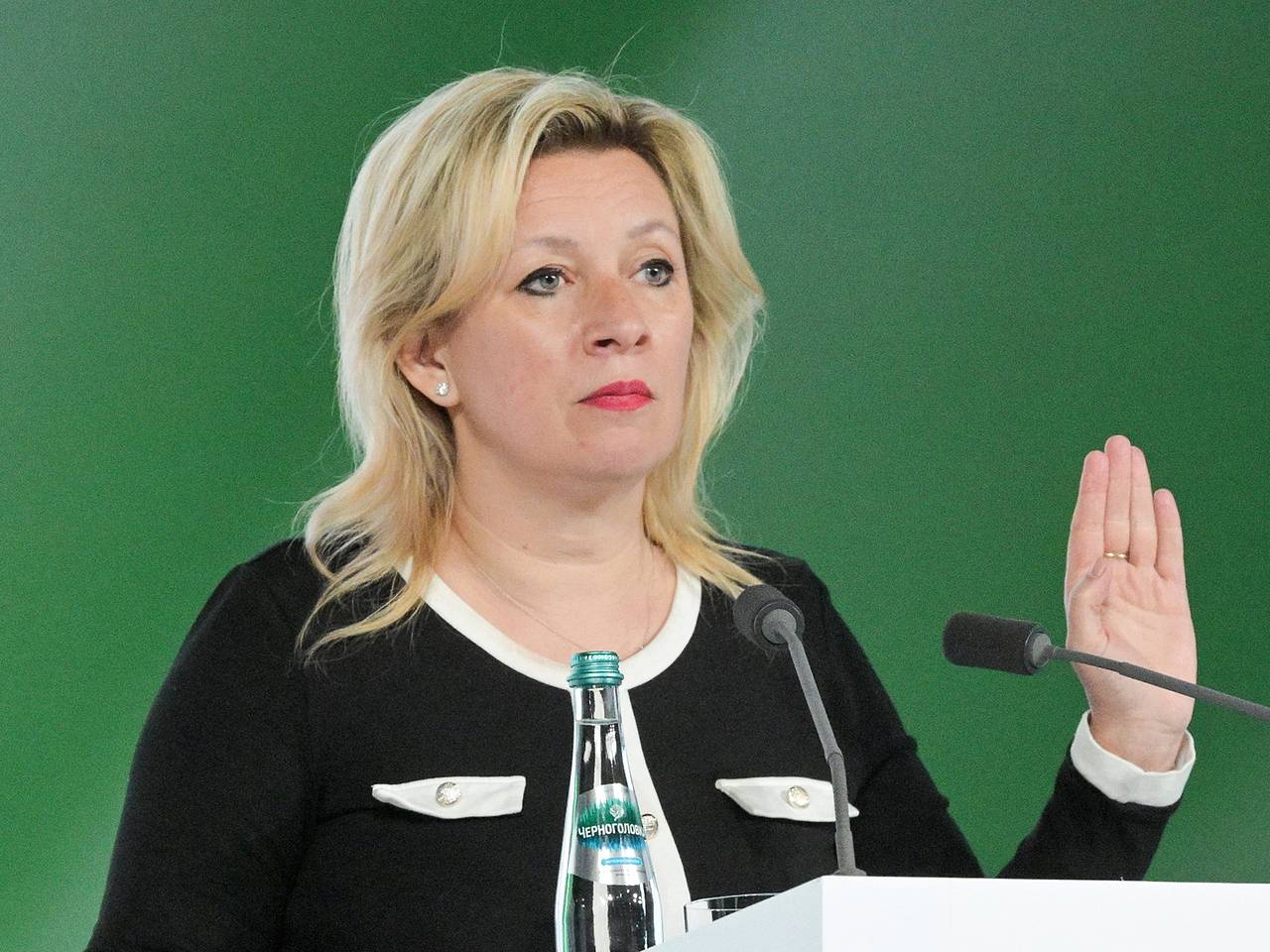 В МИД России отреагировали на инцидент с БПЛА в Румынии