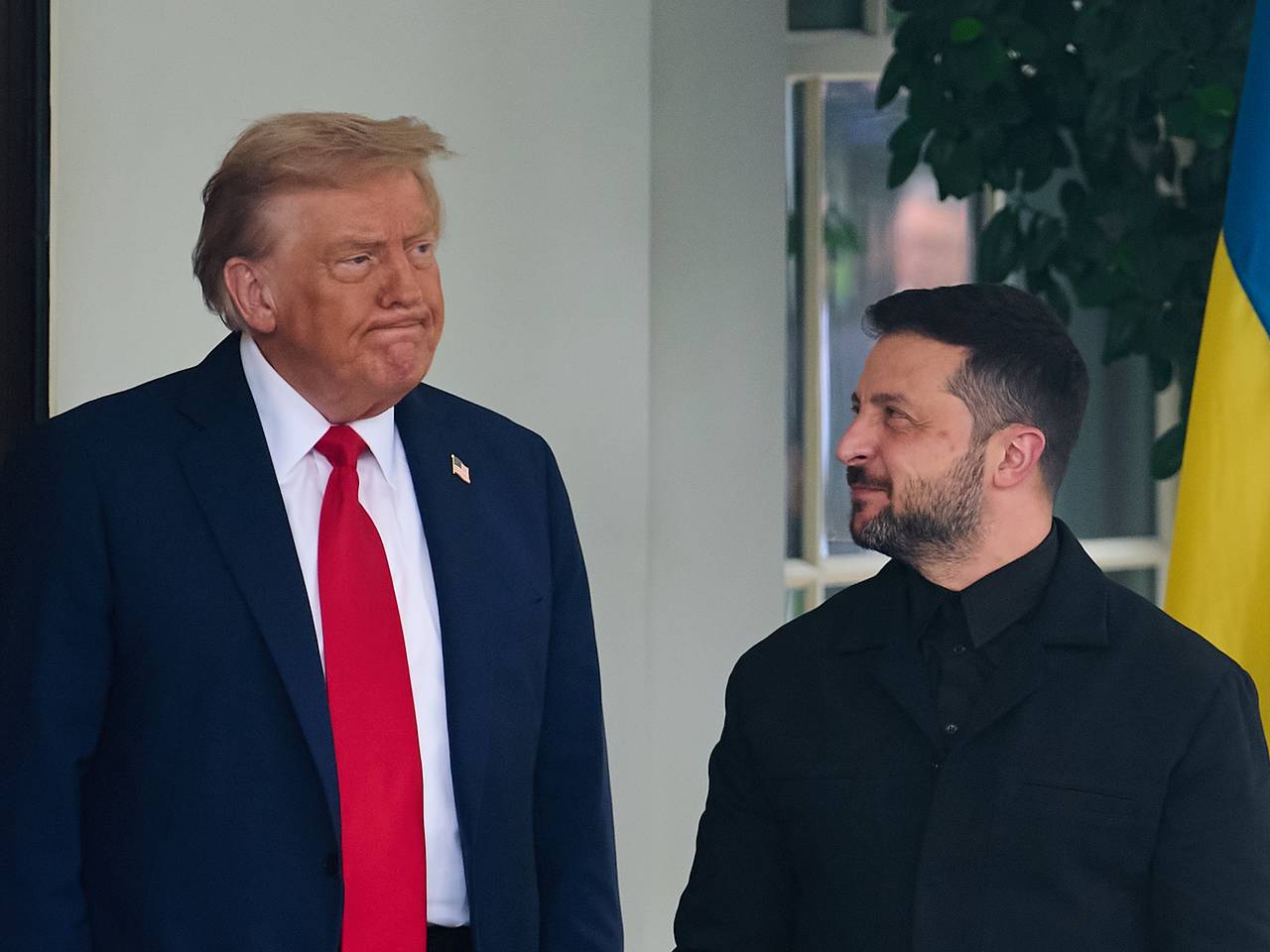 На Украине рассказали о выгоде Путина от письма Зеленского Трампу