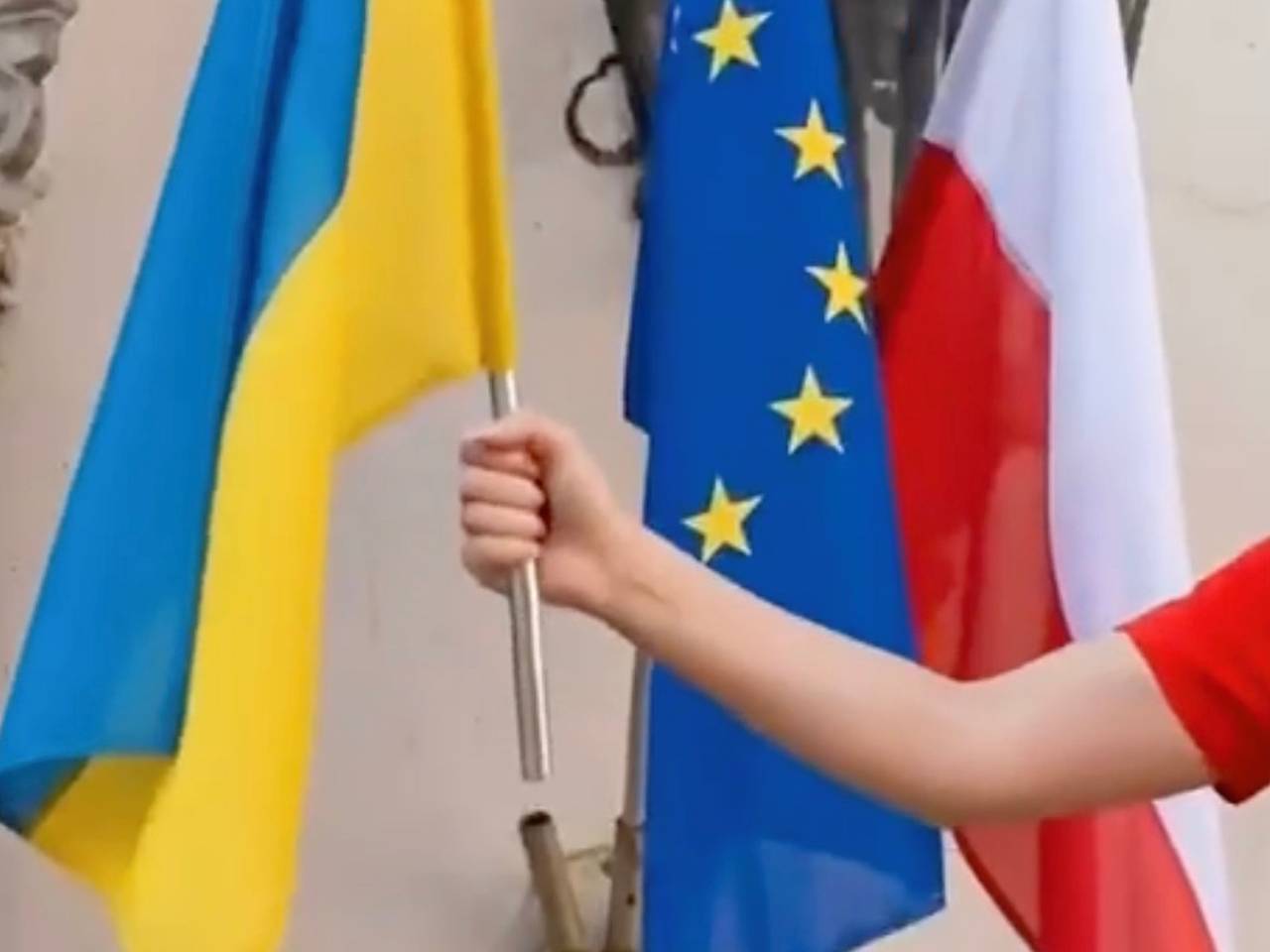Кандидат на пост мэра Кракова опубликовала провокационное видео с украинским флагом